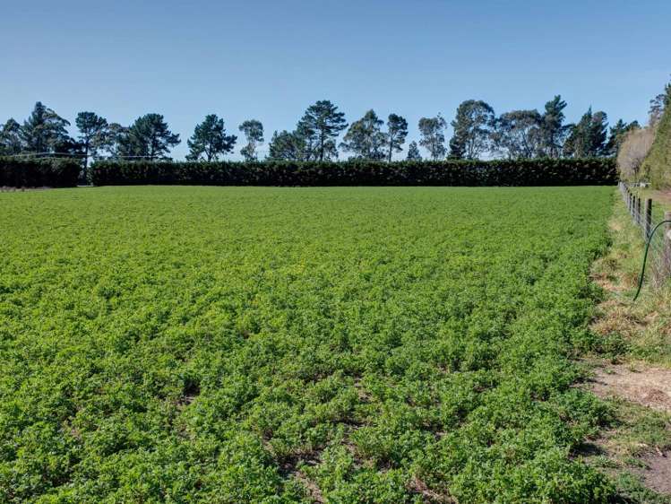 175 Walkers Road Rolleston_16