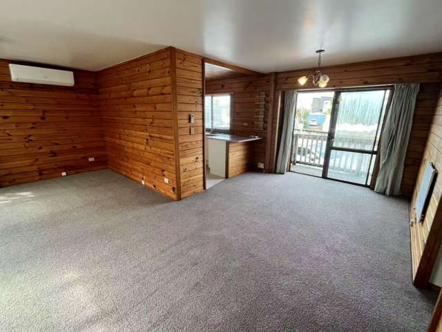 2A Abel Tasman Avenue Henderson_2