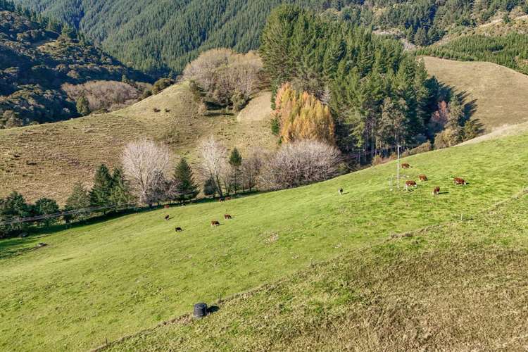 2377 Motueka Valley Highway Woodstock_33