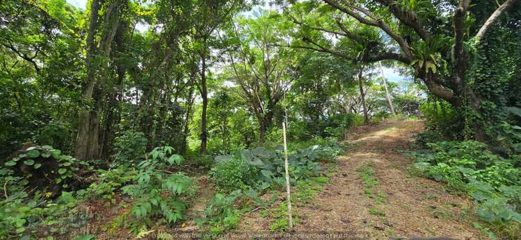 Address withheld Savusavu_14