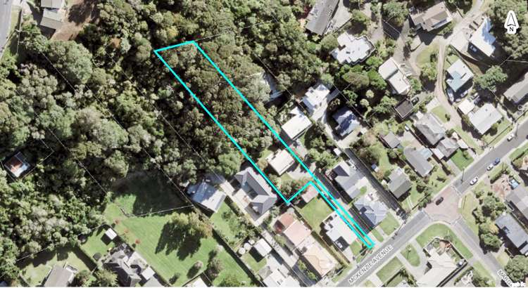 73 Mckenzie Avenue Arkles Bay_17