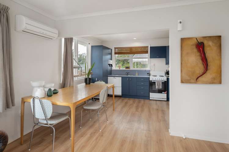 9 Havelock Street Renwick_9