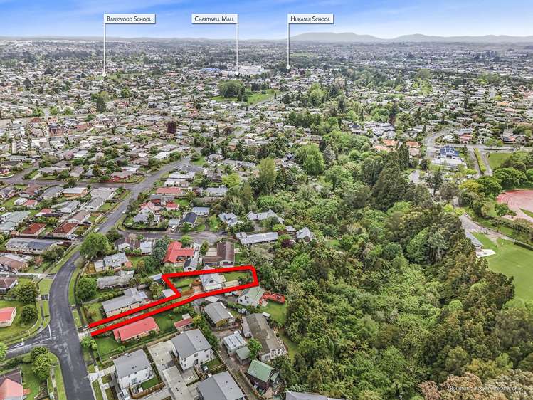 43 Winstone Avenue Chartwell_20