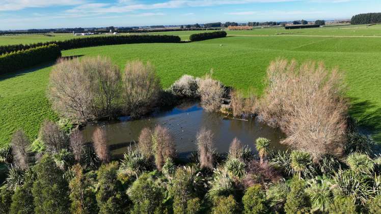 91 King Road Waianiwa_15