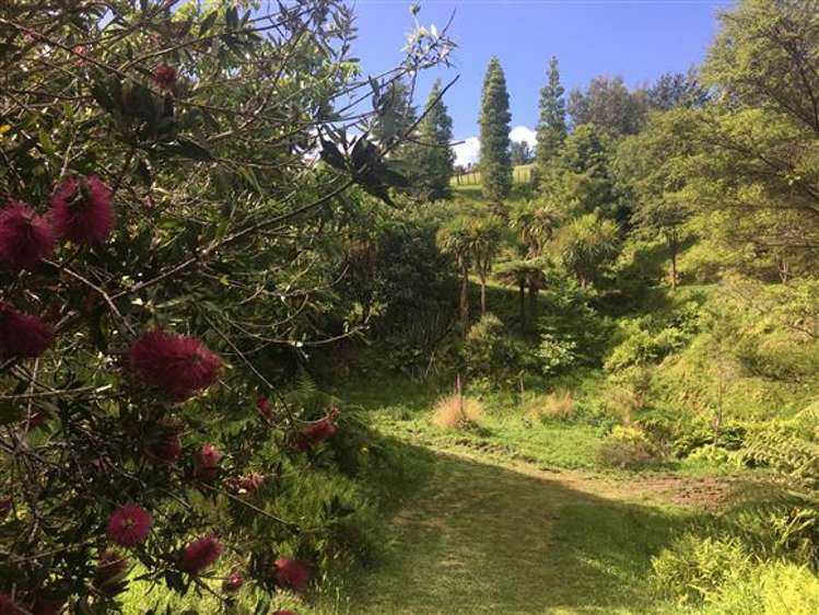 473 Kauaeranga Valley Road Thames_37