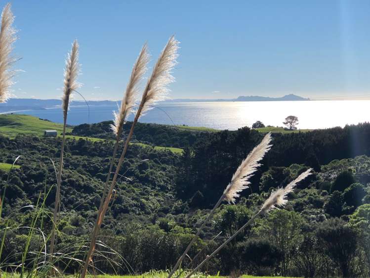 51 Spencer Road Pakiri_17