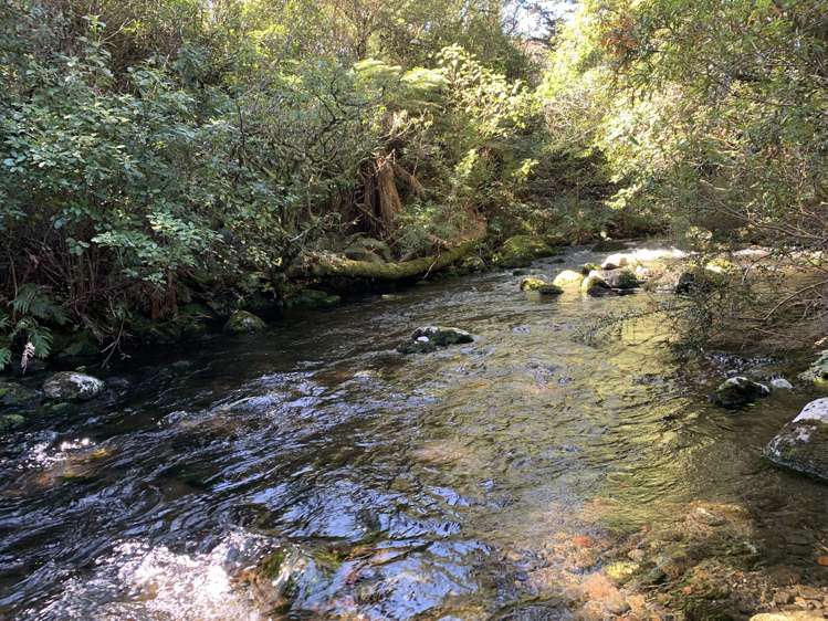 134 Matapuna Road Raetihi_6