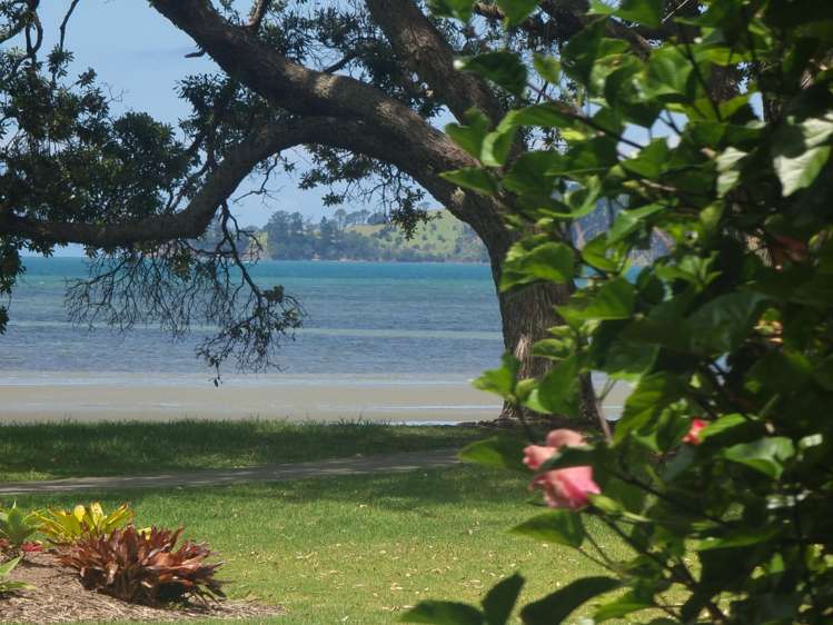 6/56 Tamatea Drive Snells Beach_3