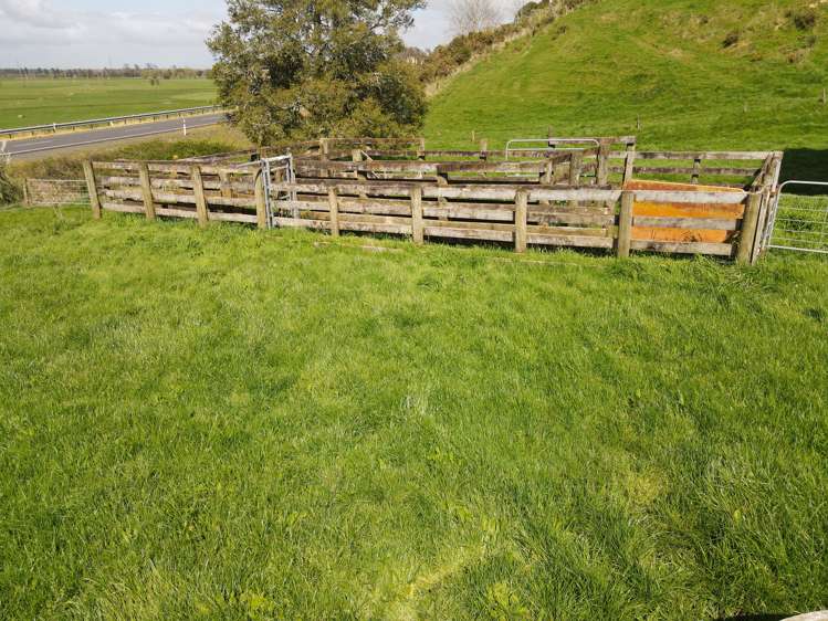 1949 Tahuna Road Te Hoe_4