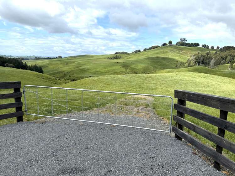 Taotaoroa Road Karapiro_40