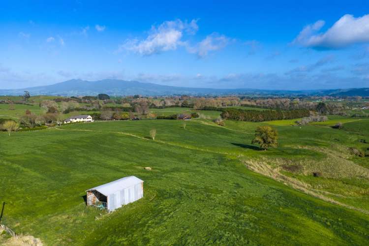 102 Gillard Road Ngahinapouri_5