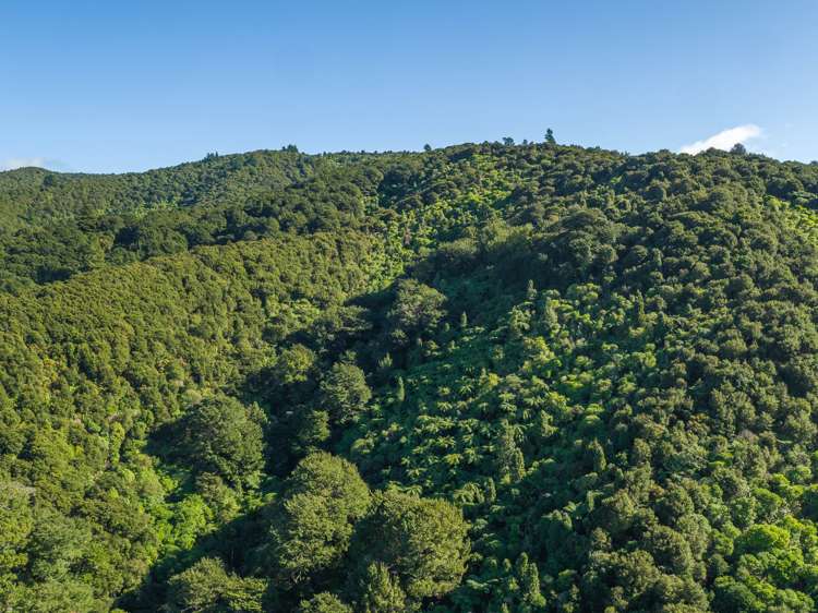 63a Cundys Road Featherston_23