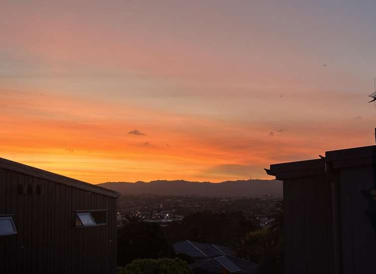 7A New Windsor Road Avondale_16