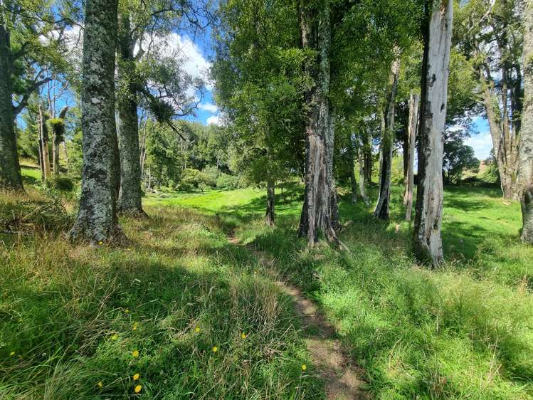 358 Mangaotaki Road Piopio_10