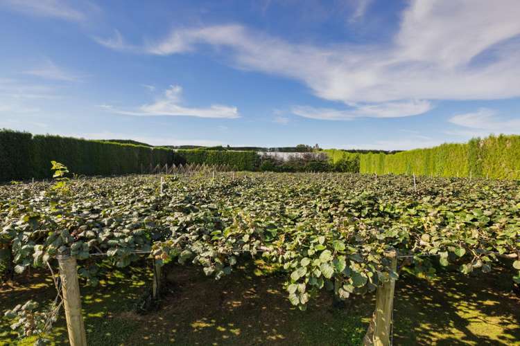 13 James Road Te Puna_25