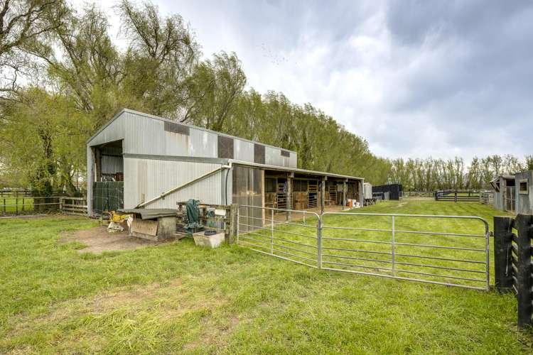 510 Wall Road Raureka_25