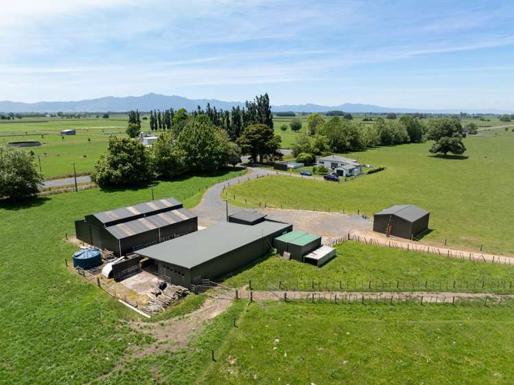 406 Manhire Road Morrinsville_11
