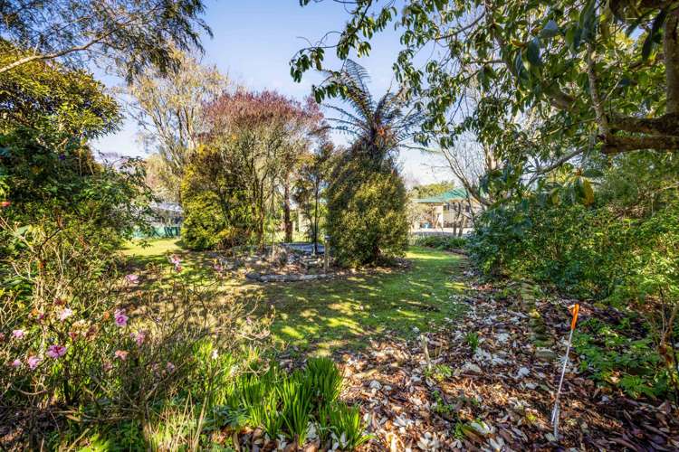 35 Smith Street Waverley_40