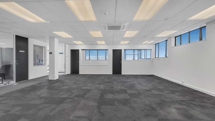 154 Carlyle Street Sydenham_12