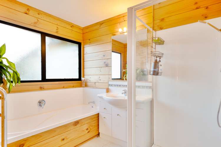 155 Woolrich Road Te Kowhai_12