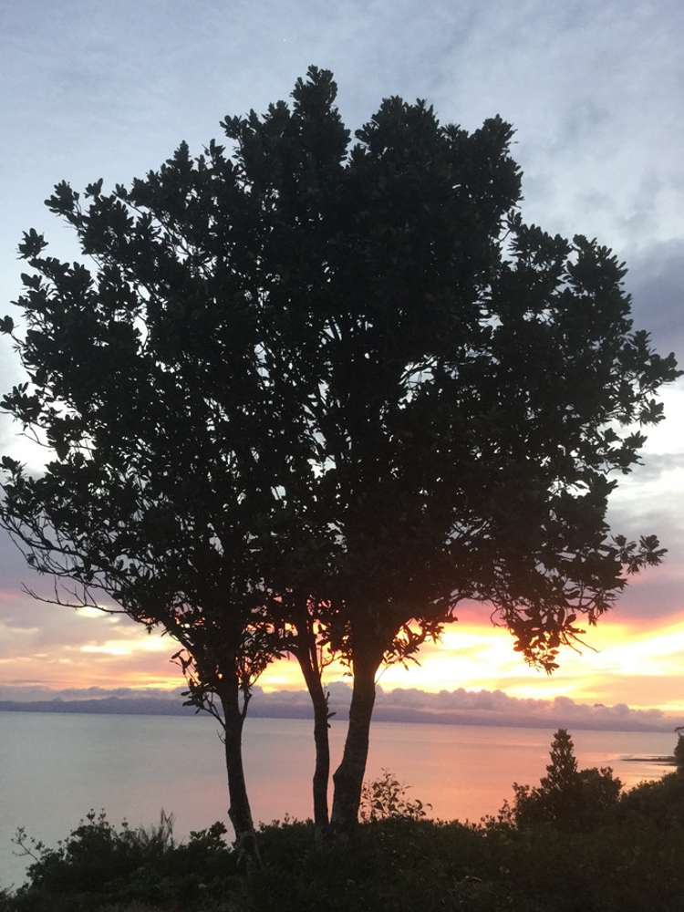 211 Howard Road Orere Point_21