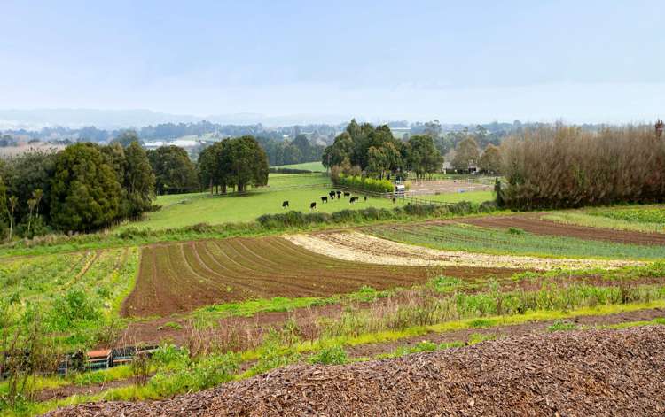 1120I Waiuku Road Waiuku_10