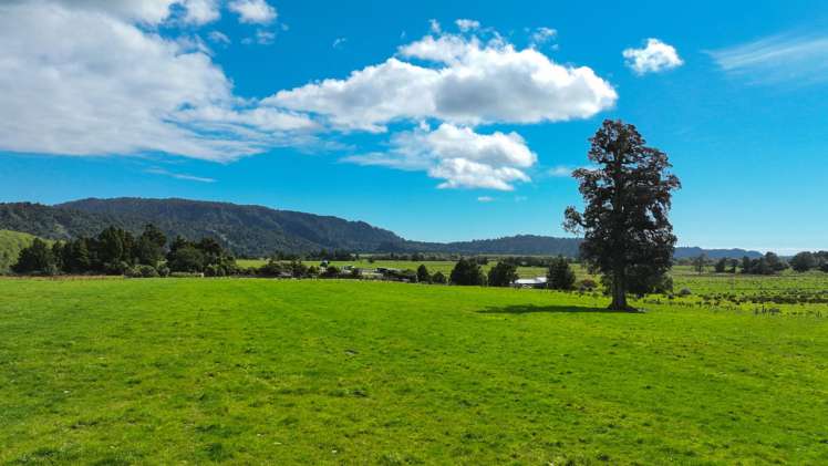 217 Poerua Valley Road Harihari_9
