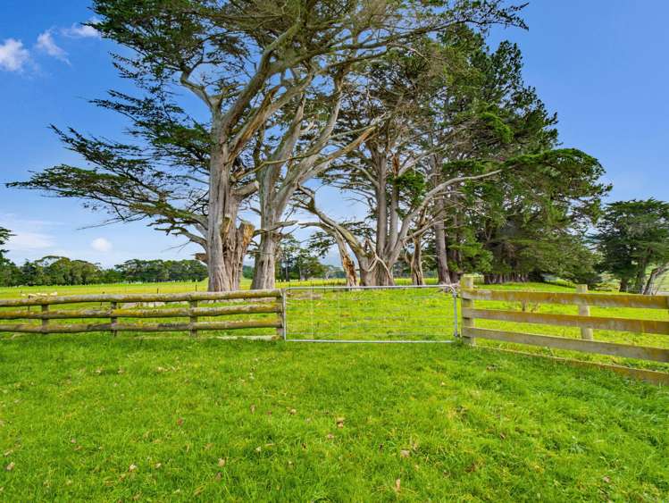 517 Umutaoroa Road Dannevirke_29