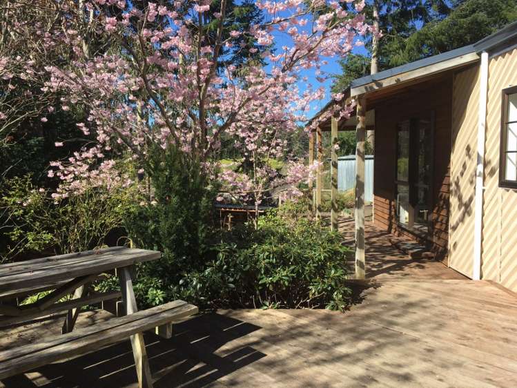 19 Ballarat Avenue Naseby_10