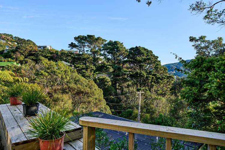 19 Norwich Street Wadestown_12