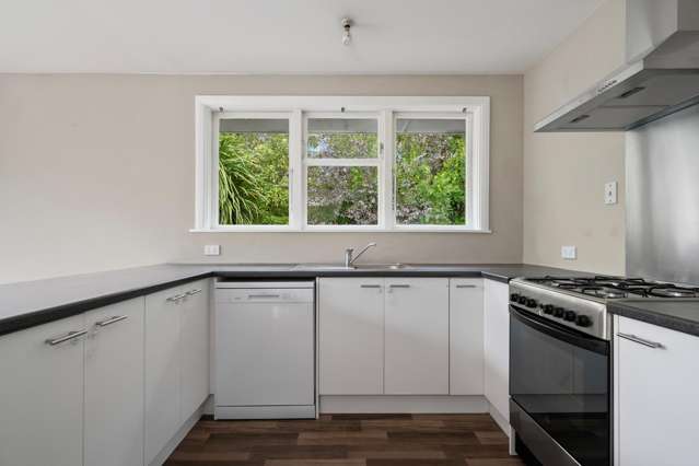 101 Reynolds Avenue Bishopdale_2