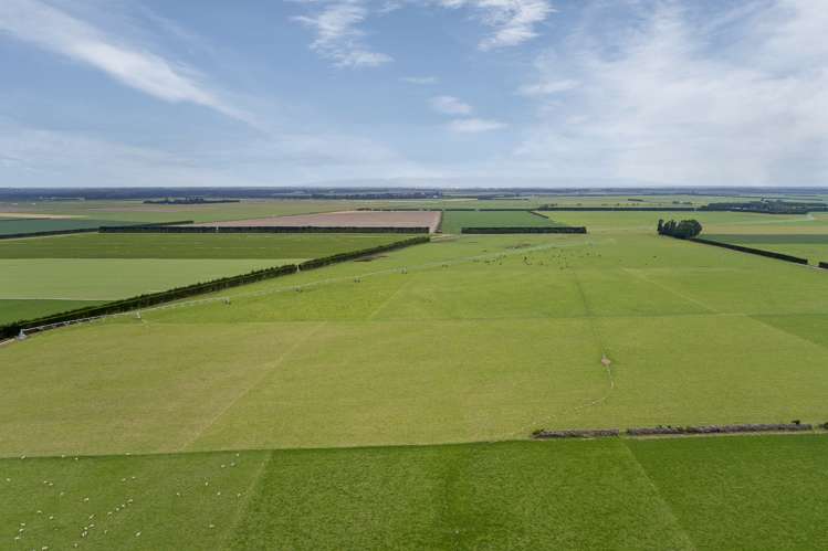 992 Wards Road Kirwee_5