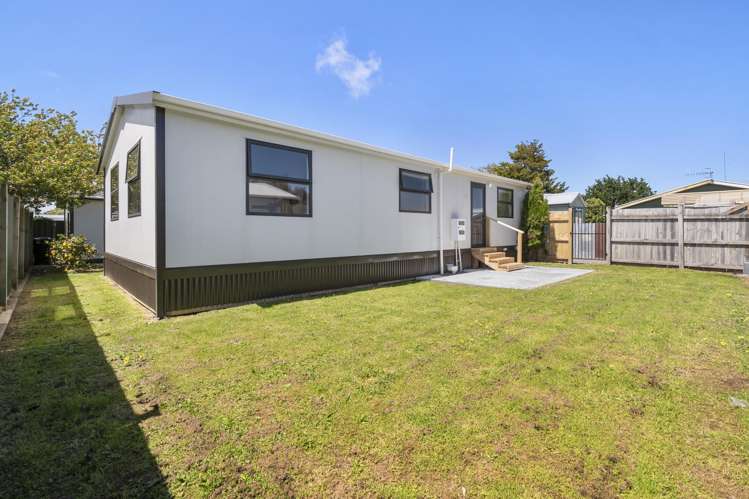 26a Hammond Street Bulls_17