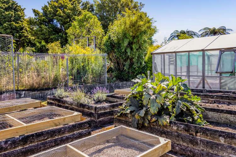 8 Mahoe Street Inglewood_22