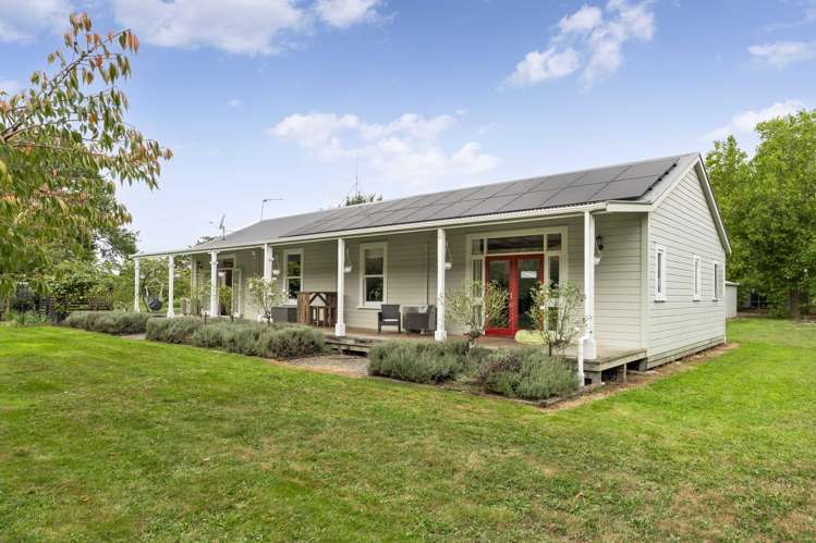 237A Watsons Road Masterton_23