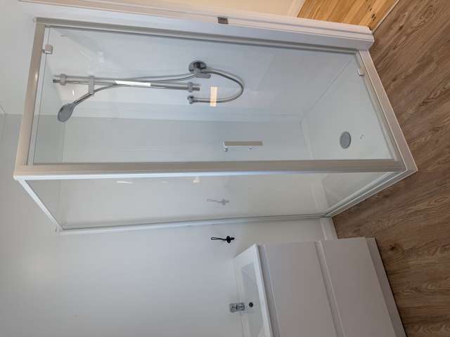 111 Pembroke Street Hamilton Lake_4