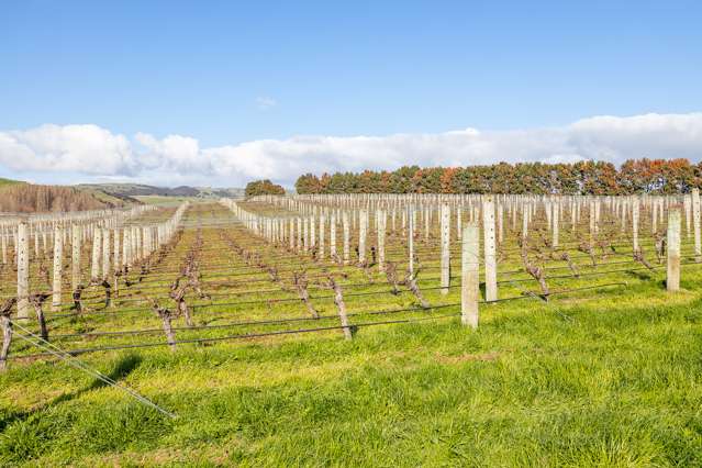 Lot 2 Vineyard Lane Martinborough_3