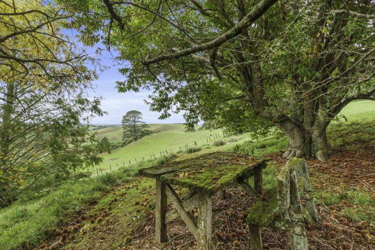 1135 Richmond Road Inglewood_23