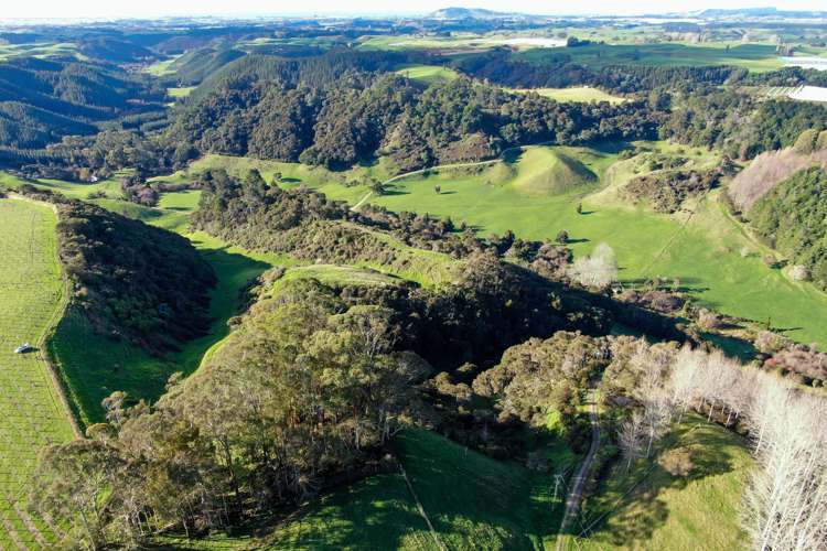 Maniatutu Road Pongakawa_19