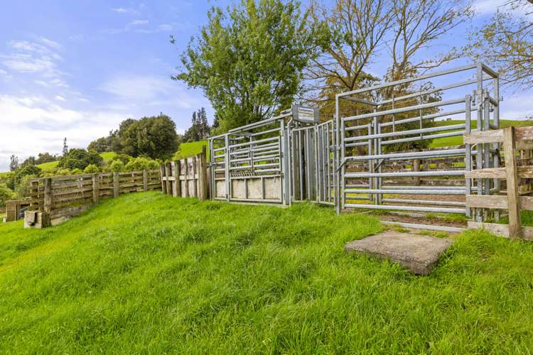 160a Tate Road Te Kuiti_20