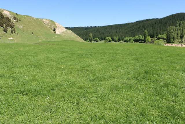 8401 Route 52 Dannevirke_2