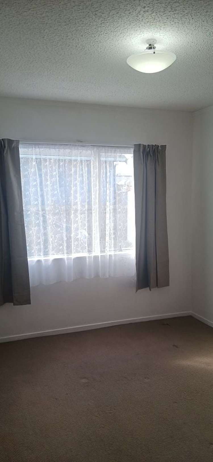 1/192 Onepu Road Lyall Bay_19