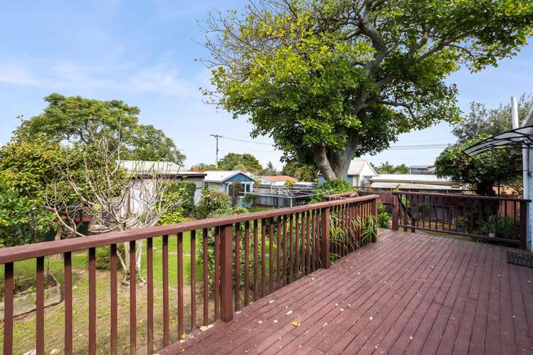 29 Arthur Road Hillpark_11