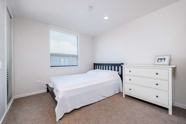 55 Mary Street Mount Eden_4