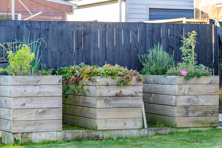 17A Hetherington Street Morrinsville_25