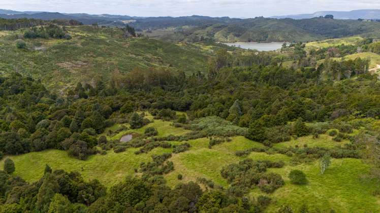 243 Creamery Road Kohukohu_32