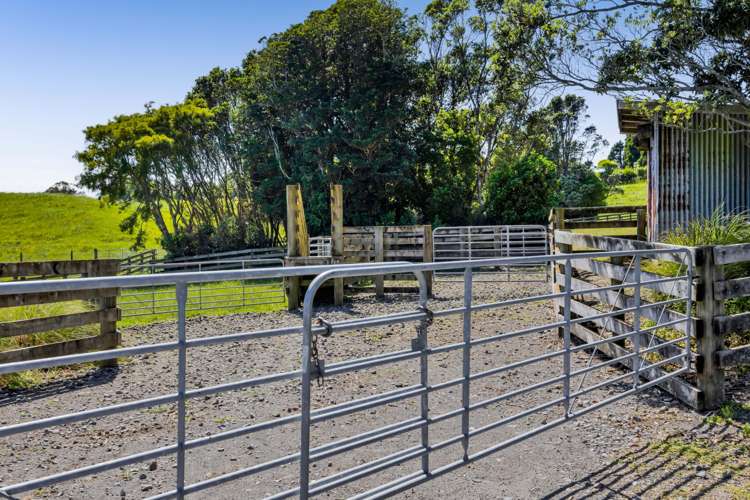 Upland Road Egmont Village_15