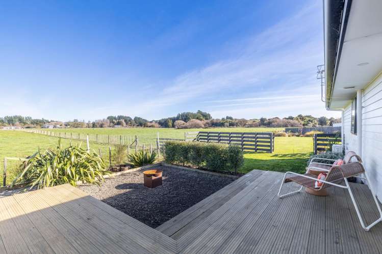 39 George Street Bulls_31