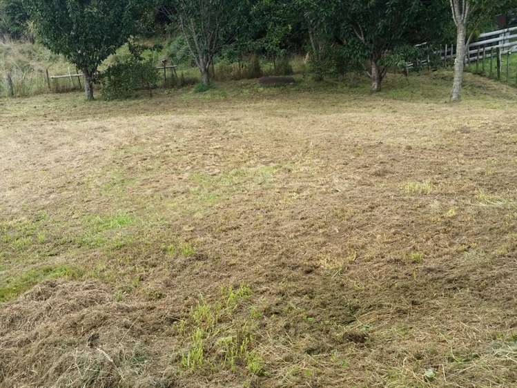 73d Thomas Crescent Western Heights_2