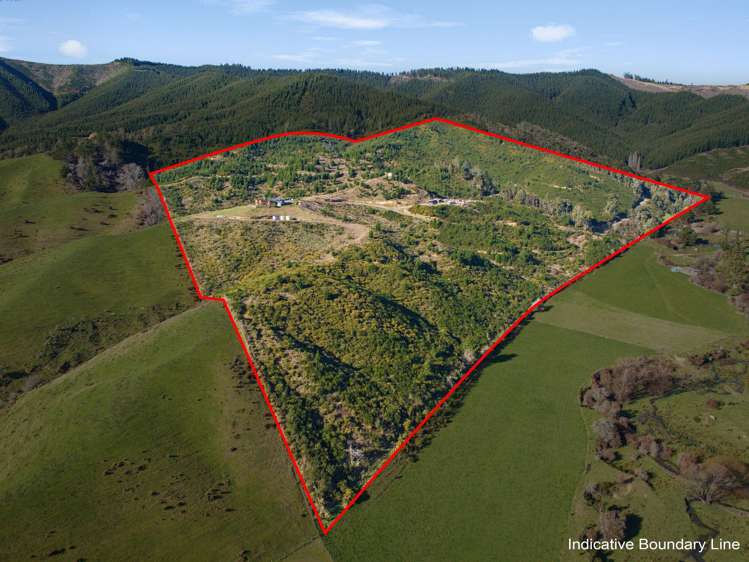 325 Forest Creek Road Stanley Brook_28